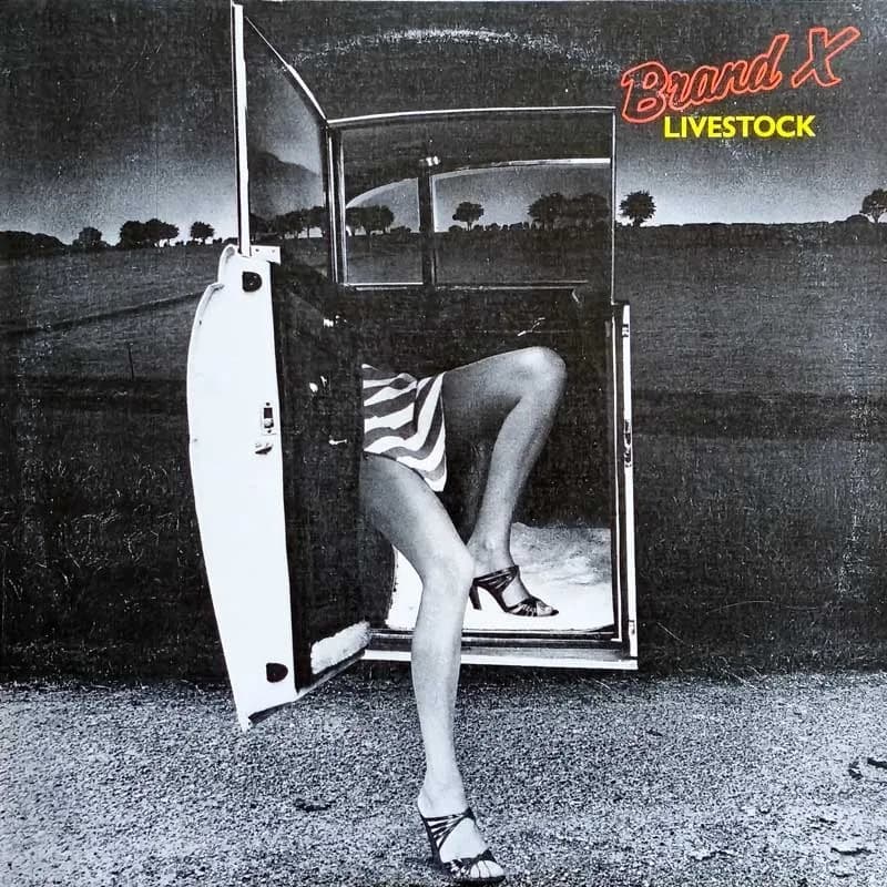 BRAND X - LIVESTOCK
