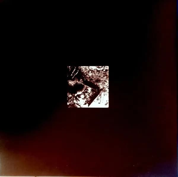 LUNA IN CæLO – AQUELLOS DESGARRADORES GRITOS LLAMADOS SILENCIO