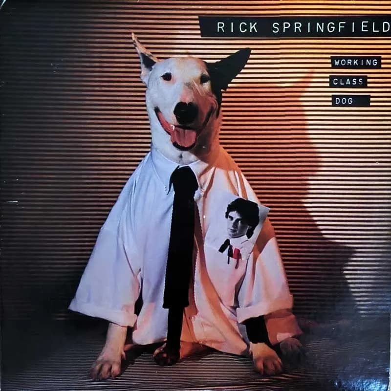 RICK SPRINGFIELD - WORKING CLASS DOG