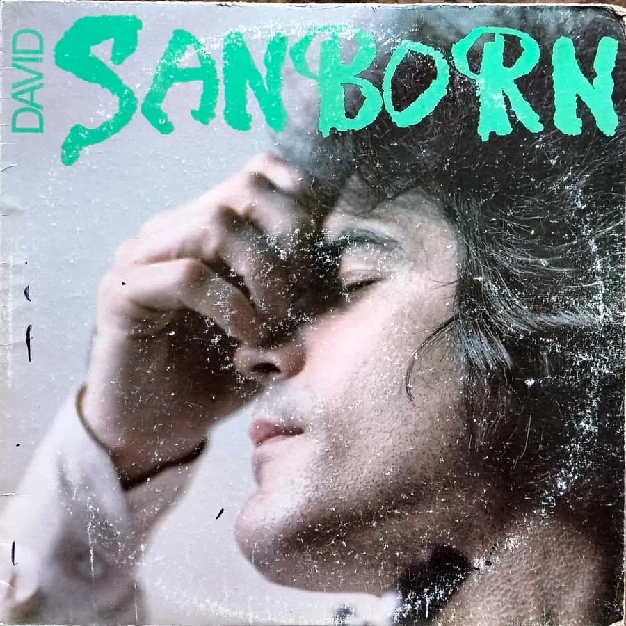 david sanborn - SANBORN